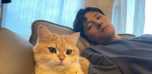 娱乐吃瓜酱替小猫赎身,娱乐吃瓜酱助力爱心行动